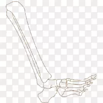 手指白色鞋线艺术设计-空若网 手指白色鞋线艺术设计-空若网