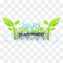 ���ཡ�������в�ҩ���఩֢����ҩ��˳���Ʒ�-������