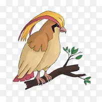 猛禽夹艺术头骨头像-空若网 猛禽夹艺术头骨头像-空若网