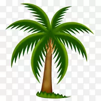 棕榈树枣棕榈剪贴画-粉刷棕榈树-空若网 棕榈树枣棕榈剪贴画-粉刷棕榈树-空若网