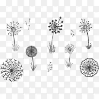 蒲公英植物植物开花草手绘群飞-空若网 蒲公英植物植物开花草手绘群飞-空若网