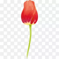 ����ֲ��-123-������