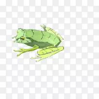 水彩画插图-青蛙-空若网 水彩画插图-青蛙-空若网