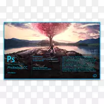 AdobeCreativeCloudadobe系统adobe Lighttroom adobe首映式-空若网 AdobeCreativeCloudadobe系统adobe Lighttroom adobe首映式-空若网