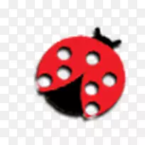 七星瓢虫-空若网 七星瓢虫-空若网