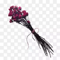 模型博客-igloo-空若网 模型博客-igloo-空若网