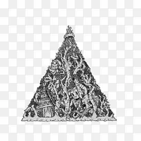 白树-空若网 白树-空若网