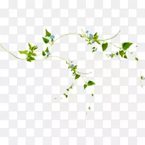 ��ͯ��װ���ʦ������-������