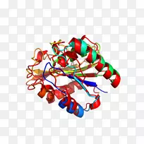 食品首饰鞋夹艺术.珠宝首饰-空若网 食品首饰鞋夹艺术.珠宝首饰-空若网