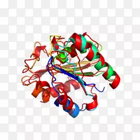 ʳƷʥ��װ��Ʒ������-ʥ����-������