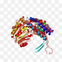 人体珠宝字体-空若网 人体珠宝字体-空若网