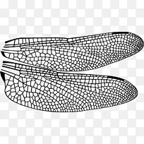 ¼×³æ¡¢òßòÑ¡¢À¥³æÒí¡¢¼×¿Ç³æ¡¢òßòÑ-¿ÕÈôÍø ¼×³æ¡¢òßòÑ¡¢À¥³æÒí¡¢¼×¿Ç³æ¡¢òßòÑ-¿ÕÈôÍø