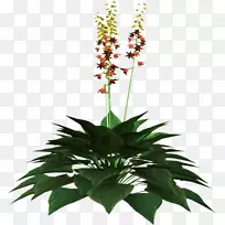 ̹���л������������.���컨-������