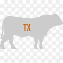 牛-马鼻子夹艺术-瘦肉-空若网 牛-马鼻子夹艺术-瘦肉-空若网