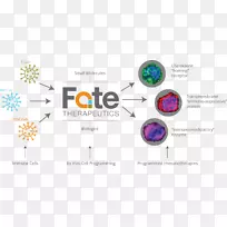 体外细胞免疫系统技术功能-生物科学-空若网 体外细胞免疫系统技术功能-生物科学-空若网