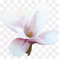 ������-������