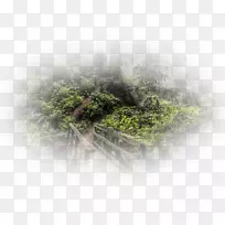 �����ֽ�����Ա�ֽ��-������