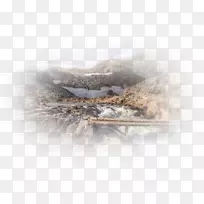 桌面壁纸摄影计算机树-计算机-空若网 桌面壁纸摄影计算机树-计算机-空若网