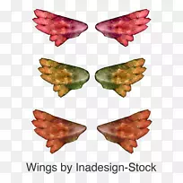 Ҷ��-��õĳ��-������