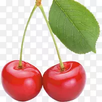 ����ӣ��ˮ��-ӣ��-������