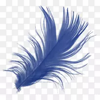 桌面壁纸显示分辨率图-空若网 桌面壁纸显示分辨率图-空若网