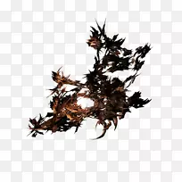 海叶蔬菜-海-空若网 海叶蔬菜-海-空若网