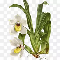 花卉设计-插花艺术-空若网 花卉设计-插花艺术-空若网