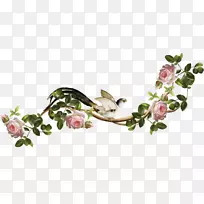 ������-������