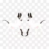 马猫颈尾野生动物-空若网 马猫颈尾野生动物-空若网