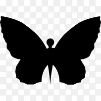 蝴蝶形昆虫-蝴蝶-空若网 蝴蝶形昆虫-蝴蝶-空若网