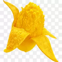 ��ɳ����â����ʳ��â��-������