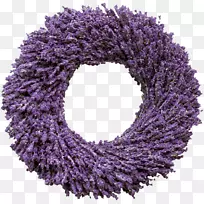 Ӣ��޹�²ݻ�������޹�²ݻ�-������