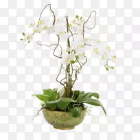 �ɶ������ٻ����-��-������