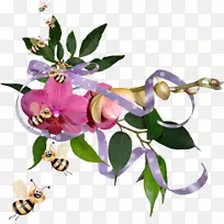 博客设计师-人-空若网 博客设计师-人-空若网