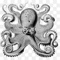 ͷ�ԣ���������������֮�顢��ѧ�ҡ���ѧ֮����ݱ�-������