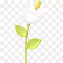 纸花瓣花夹艺术-花-空若网 纸花瓣花夹艺术-花-空若网