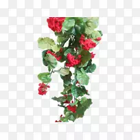 ���컨���л��Ĵ����ǻ������.���컨-������