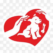 野生动物猫动物收容所-空若网 野生动物猫动物收容所-空若网