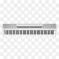 ���ָ�������korg��̨����-������