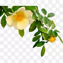 经典博客剪贴画-空若网 经典博客剪贴画-空若网