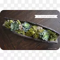 ��ֲ֭���Լ��������Ͱ-����õ�廨����-������