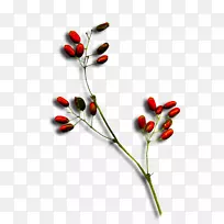 ��Ӱ�������ű�˹-��Ӱ-������