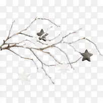 树枝雪花枝-空若网 树枝雪花枝-空若网