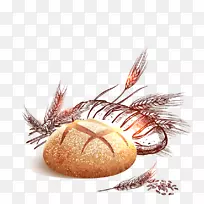 �����ֽ������-��ѵ���-������