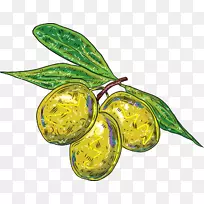 橄榄枝-漆橄榄-空若网 橄榄枝-漆橄榄-空若网