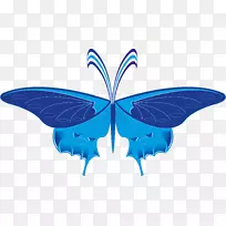 �����Գ�΢������ɫ������-����-������