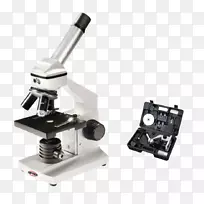 显微镜信用卡数字数据显微镜-空若网 显微镜信用卡数字数据显微镜-空若网