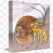 ����Ĥ����ˮ�ʱ��-������