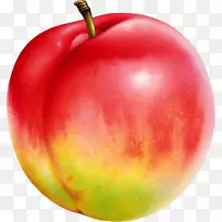 ÓÍÌÒÍÁÐÇÌÒ×ÓºìÌÒʳÎïu674eu5b50-ÌÒ-¿ÕÈôÍø ÓÍÌÒÍÁÐÇÌÒ×ÓºìÌÒʳÎïu674eu5b50-ÌÒ-¿ÕÈôÍø