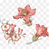 水彩画花卉设计绘画艺术-空若网 水彩画花卉设计绘画艺术-空若网